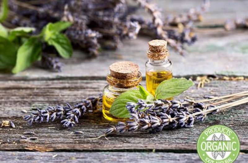 Stari Grad - stari-grad.net - Florihana - Organska eterična ulja i hidrolati - BIO TERRA